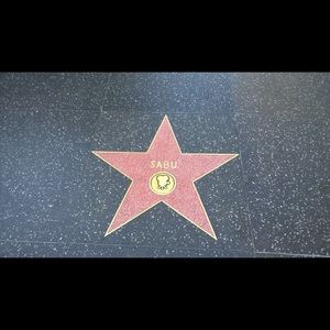 Meet your Posher, Koshy