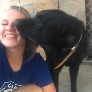 Meet your Posher, Liz