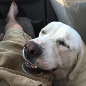 Meet your Posher, Jordan