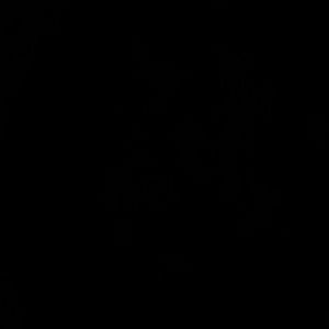 Meet your Posher, Selena