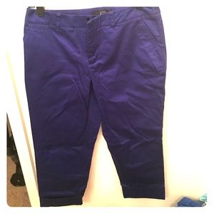 Dark Blue Capri Pant