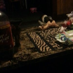 Meet your Posher, Danyelle