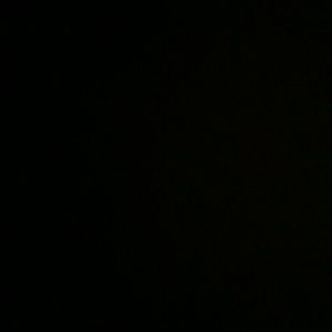 Meet your Posher, Ann