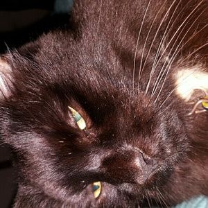 Meet your Posher, Mindy