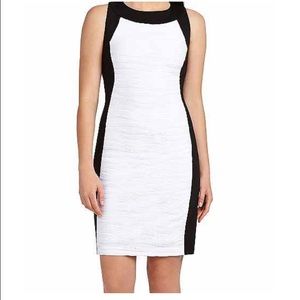 Calvin Klein Colorblock  Sheath Dress