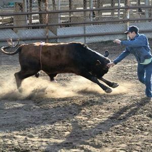 Meet your Posher, Frankie