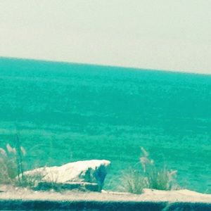 Meet your Posher, Celsa