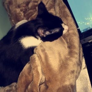 Meet your Posher, Layla