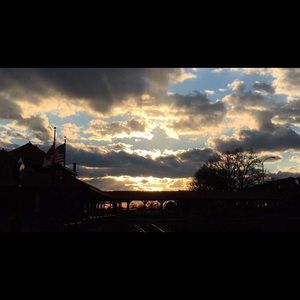 Meet your Posher, Maroon