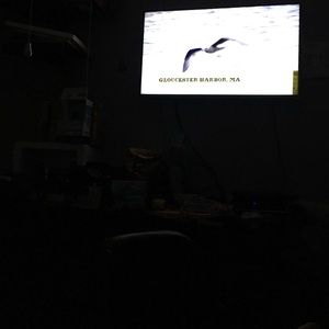 Meet your Posher, Peter