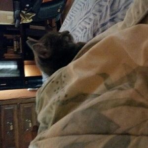 Meet your Posher, Wendy