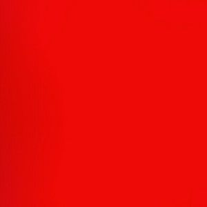 Meet your Posher, Jacqueline