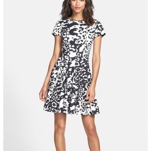 Eliza J animal print dress. Worn once.