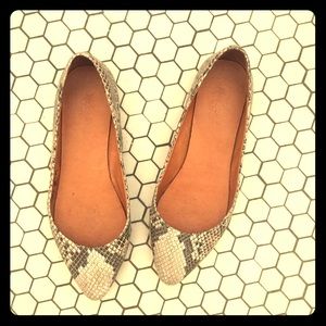 Snakeskin Madewell Sidewalk Skimmers