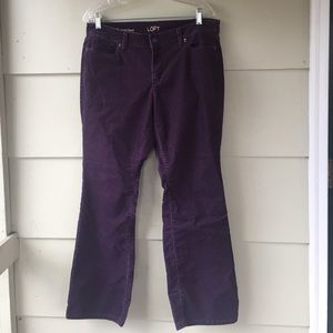 Ladies pants