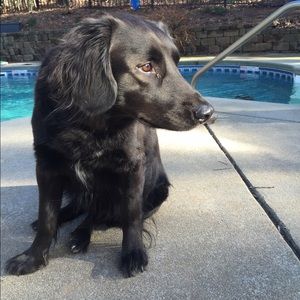 Meet your Posher, Alexis