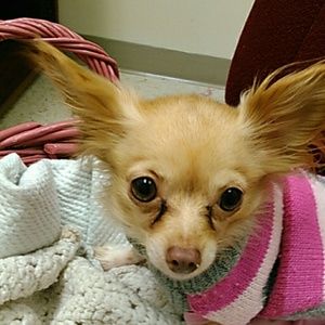 Meet your Posher, Aaron