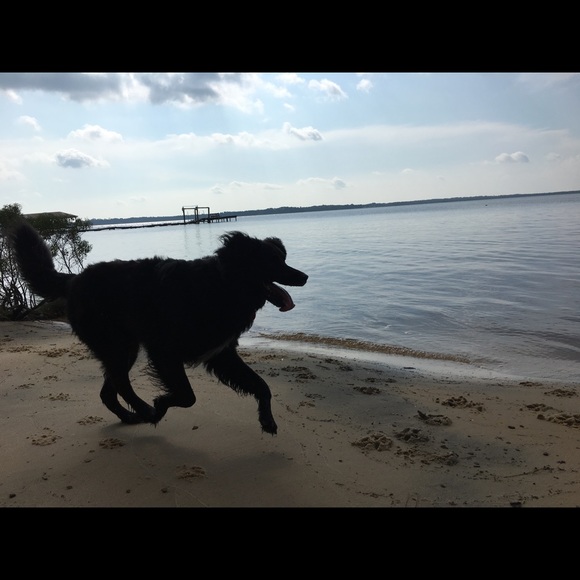 Meet your Posher, Katie (Hi) - Picture 3 of 5