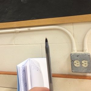 Meet your Posher, Peyton