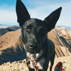 Meet your Posher, Amber