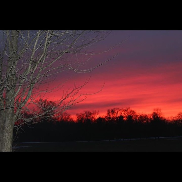 Meet your Posher, Maggie