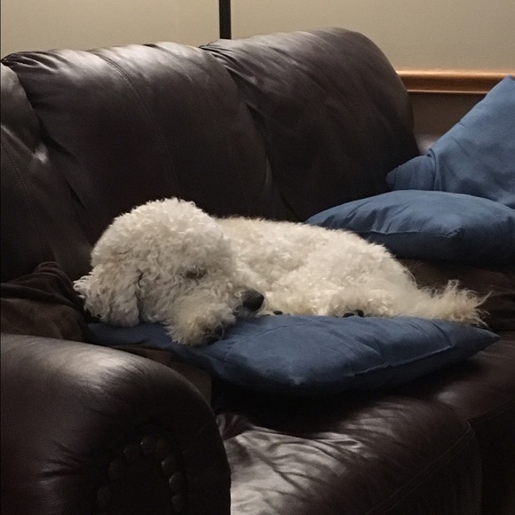 Meet your Posher, Kary