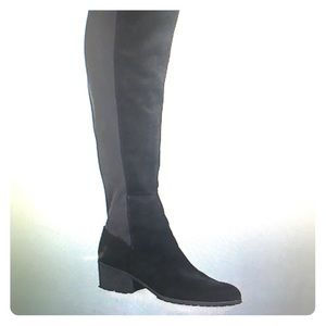 NWT Charles by Charles David Over the Knee Boots
