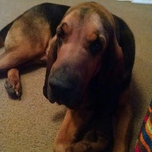 Meet your Posher, Brandy