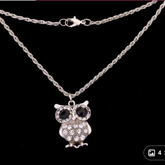 StylesbyS Jewelry - Beautiful owl necklace