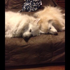 Meet your Posher, Marcy