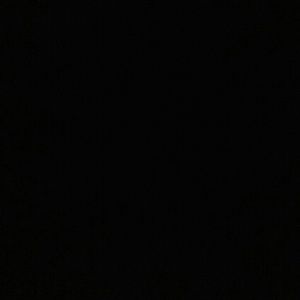 Meet your Posher, Latanya