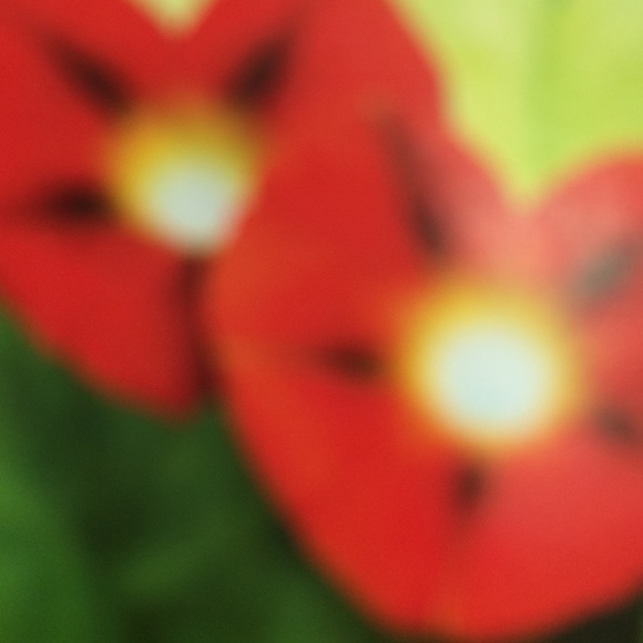 Meet your Posher, Galina