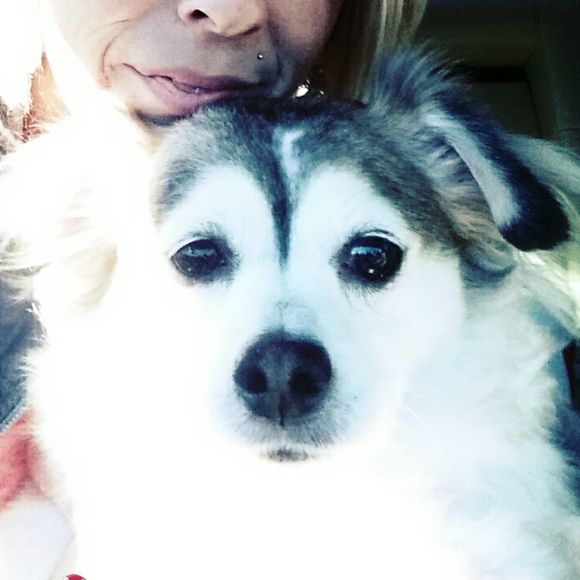 Meet your Posher, Jenny - Picture 1 of 1