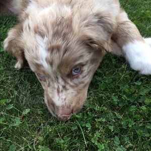 Meet your Posher, Rachael