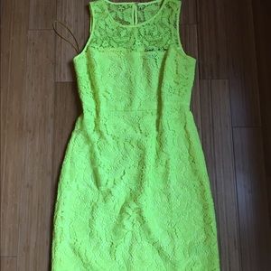 Lace J. Crew fitted sheath dress