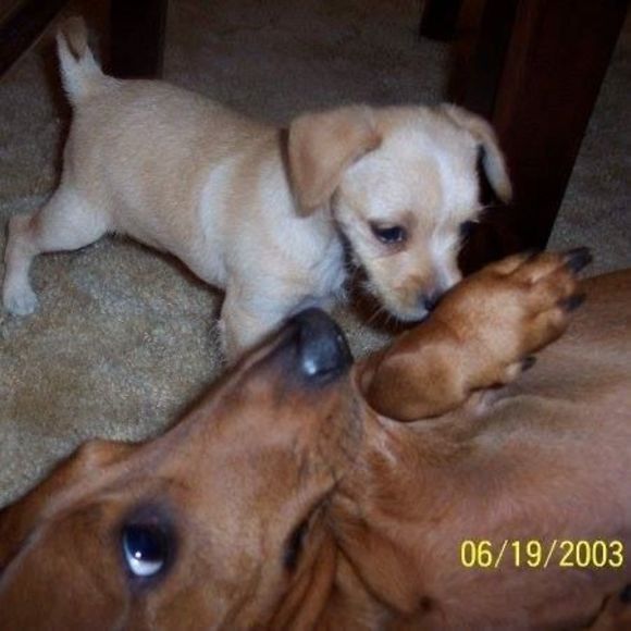 Meet your Posher, Kristin