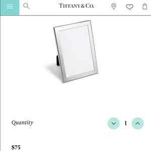 NEW never used Tiffany & Co. Pewter Frame