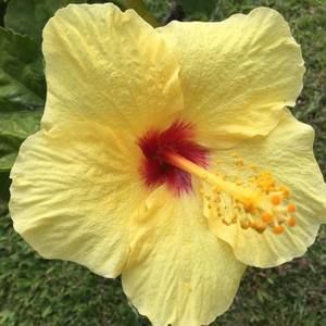 Meet your Posher, Rumi