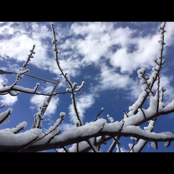 Meet your Posher, Frank