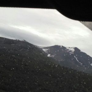 Meet your Posher, Brandi