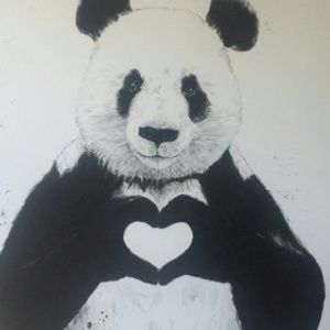 Meet your Posher, Darcy