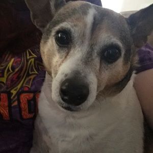 Meet your Posher, Alison