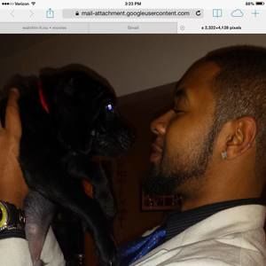 Meet your Posher, James