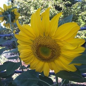 Meet your Posher, Misty