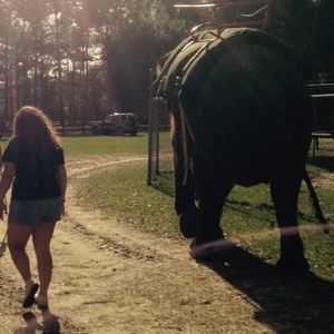 Meet your Posher, Morgan