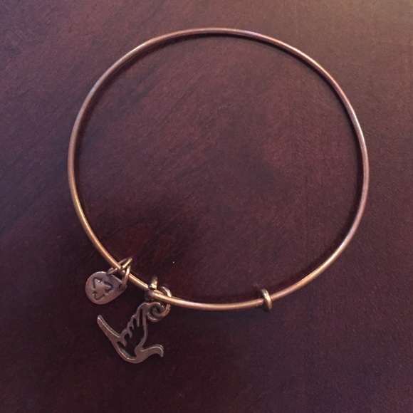 Alex & Ani dove bracelet
