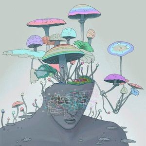 Meet your Posher, Zoe