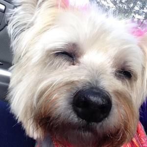 Meet your Posher, Kylee