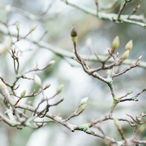 Meet your Posher, Jesseca