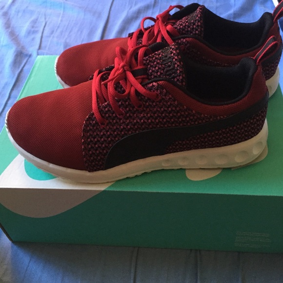 Pumas - Picture 3 of 4